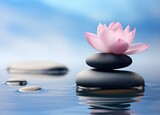 Fototapeta Desenie - Spa still life in Zen culture style with pink flower and clam blue water and clear sky background.