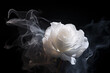 Fantasy white rose - white smoke - white mist - white fog - black background
