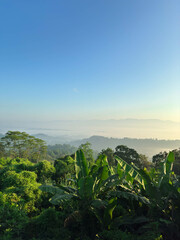 Natural View from Sajek Valley - Kingdom of Clouds