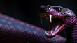 Purple snake open mouth ready to attack isolated on gray background