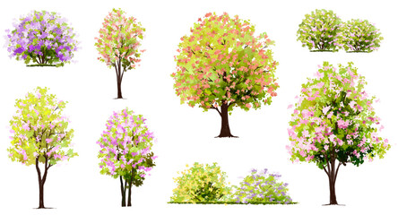 Wall Mural - vertor set of spring blossom tree,bloomimg plants side view for landscape elevation and section,eco 