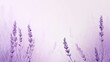 Soft color lavender pattern texture background