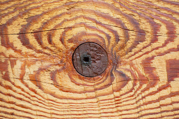 Wall Mural - Wood knot background. Grunge wooden texture. Dry desk cracks pattern. Cut tree slice cross section.