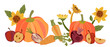 Vegetables harvest for farm and homegrown vegetables, concept, flat vector illustration. Harvest of fresh vegetables for farmers markets, organic farms, and gardeners community events.