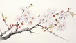 Sakura flower on branches drawn with traditional ink paints. Beautiful cherry blossoms and white. Japanese sakura garden. Asian style