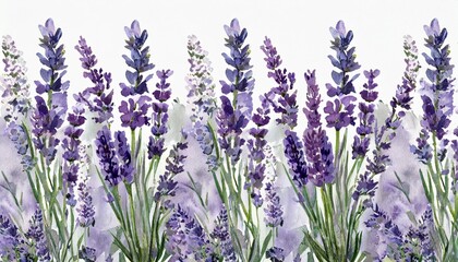 Wall Mural - seamless border of tender watercolor lavender flowers border on background ai generated