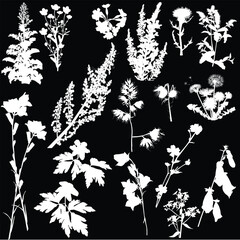 Poster - wild flowers seventeen silhouettes isolated on black