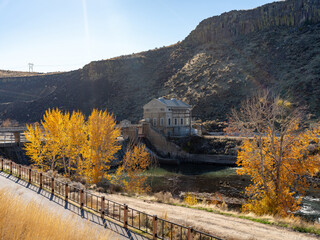 Wall Mural - Autumn trees along the Boise River at diversion Dam