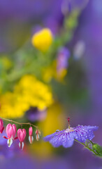 Wall Mural - dewy flowers