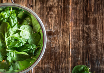 Poster - fresh raw spinach