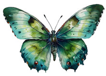 Watercolor Illustration Of A Green Butterfly . Ai Generated. Transparent Background, Png.