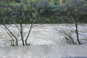 Wall Mural - River in the park in a winter day