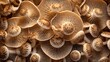  a close up of a mushroom