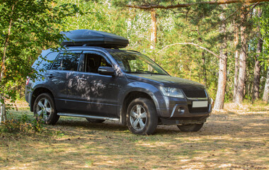 Wall Mural - SUV in a pine forest on a meadow