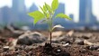 © Ghulam - A green plant growing UHD wallpaper