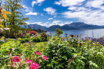 The Gardens at Walter Peak High Country Farm