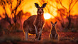 Kangaroo and Joey Silhouetted Against the Fiery Australian Outback Sunset.