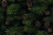 Pine Cones And Needles Background Wall Texture Pattern Seamless