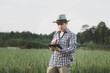 © Chadaporn - A man farmer examines the field of cereals and sends data to the cloud from the tablet, Smart farming and digital agriculture, young farmer works with a laptop in a wheat field.