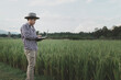 © Chadaporn - A man farmer examines the field of cereals and sends data to the cloud from the tablet, Smart farming and digital agriculture, young farmer works with a laptop in a wheat field.