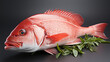 Whole red snapper fish isolated on white background