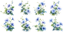 Morning Glory Flower Watercolor Illustration Clipart. Generative AI