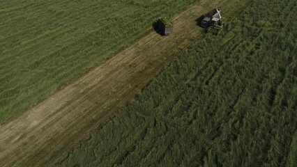 Wall Mural - The harvester is harvesting oats and grass on the farm, North China