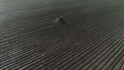 Wall Mural - Farmers drive self propelled sprayer for peanut spraying, North China.