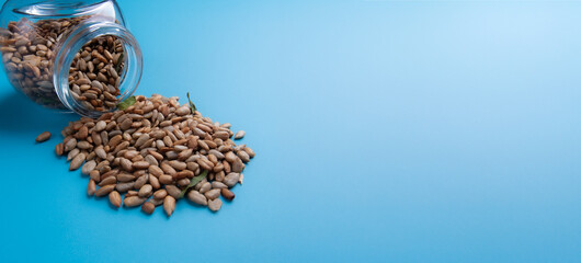 Sticker - Jar of  sunflower seeds on blue background,Space for text and content