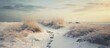 © AkuAku - Manipulated photo of snowy path with grass.