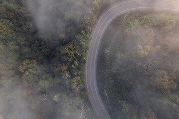 Wall Mural - Aerial view of forest road