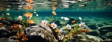 Underwater Of River Natural Landscape With Stone Pebble And Water Tree Leaf Flow In Water Beautiful Nature Background