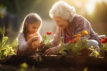Grandmother And Granddaughter Plant Flower In The Garden
