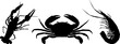Crustaceans. Collection of sea animals. Crayfish, crabs, shrimp. Illustration on a transparent background. Vector. Silhouette