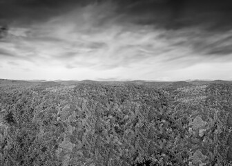 Poster - Aerial panoramic view of New England foliage forest at sunset