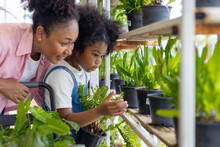 African mother and daughter is choosing tropical fern and ornamental plant from the local garden center nursery during summer for weekend gardening and outdoor