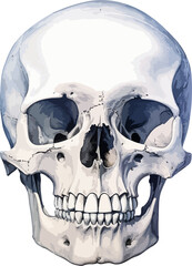 Human skull clipart design illustration 
