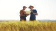 © ibragimova - agriculture wheat. two farmers work in a field with wheat. agriculture business lifestyle farm concept. farmers examining wheat sprouts in an agricultural field and check them with laptop