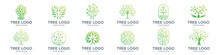 Best Tree Logo Collections, Perfect For Company Logo Or Branding. Botanic Plant Nature Symbols. Tree Branch With Leaves Signs. Natural Design Elements Emblem Collection. Vector Illustration
