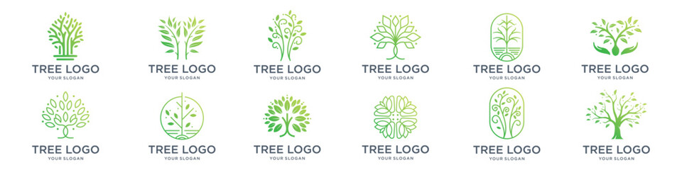 tree logo inspiration, Botanic plant nature symbols. Tree branch with leaves signs. Natural design elements emblem collection vector illustration