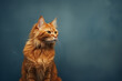 orange cat on mottled dark blue background with lots of space of text