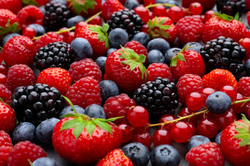 Wall Mural - Berries Background. Strawberries, Blueberry, Raspberries, and Blackberry.