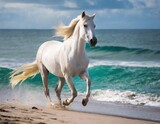 Fototapeta Konie - horse running on a beach on front of ocean