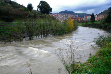 Wall Mural - River in a park of Bilbao