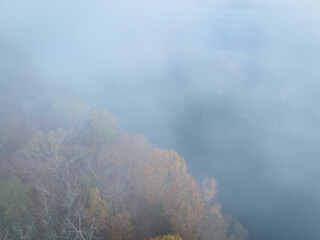 Wall Mural - foggy morning over forest and the Tennessee River near Colbert Ferry Park, Natchez Trace Parkway - late November aerial view