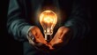 © Oulaphone - Male hand holding light bulb. Inspiration and idea concept.