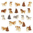 Cute and healthy dog illustration material collection,