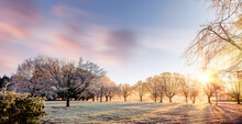 Amazing Winter Sunrise In Norfolk England Trees