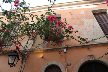 Wall Mural - old house and bougainvillea in rethymno in crete in greece