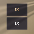 IX logo design vector image
